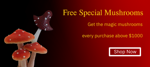 Free special Mushrooms