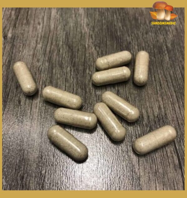 Boost: Microdose - Want to have a fun night out with friends? Boost is the right Nootropic supplement for you! This supplement gives your the perfect amount of Psilocybin mixed with Bacopa Monnieri and Tyrosine. It gives your brain the motivation it needs to climb out of a slump and into a bright energetic mood. Each capsule of Boost contains 200mg of Psilocybe (active ingredient Psilocybin)